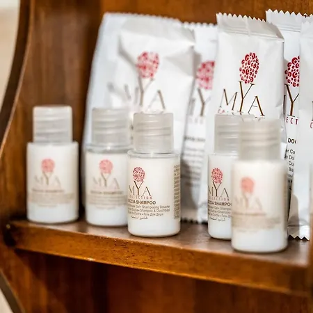 B＆b パーナロ 別荘 *