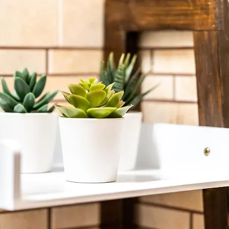 B＆b パーナロ * アルベロベッロ