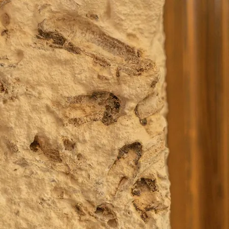 B＆b パーナロ *